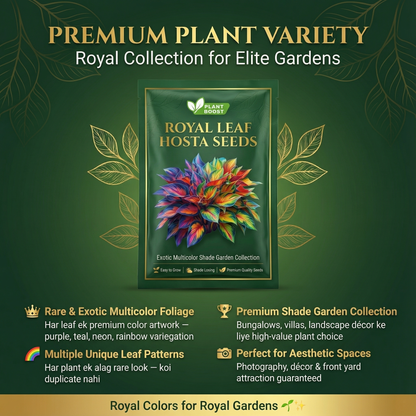 Royal Leaf Hosta Seeds